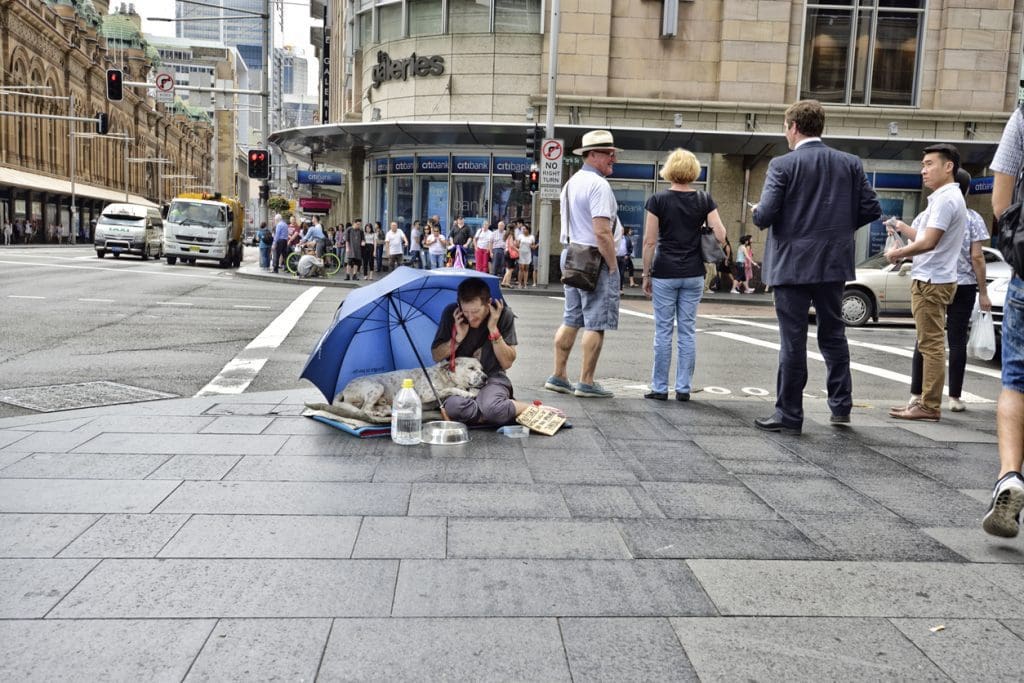 homeless person on streets of Sydney with dog