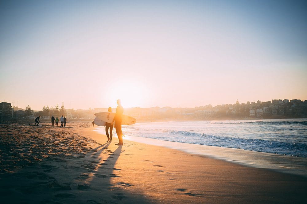 Surfers at the beach during sunset